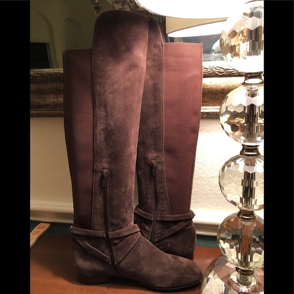 ANTONIO MELANI Shoes Chestnut Suede Over The Knee Boots Poshmark